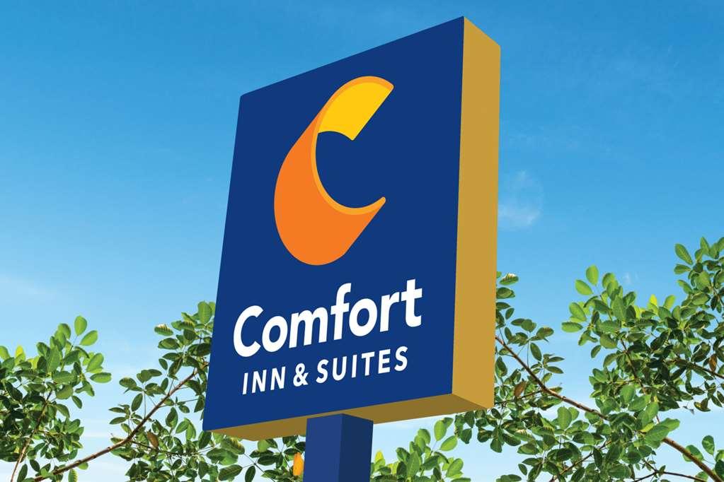 Comfort Inn & Suites Carrollton Exterior foto